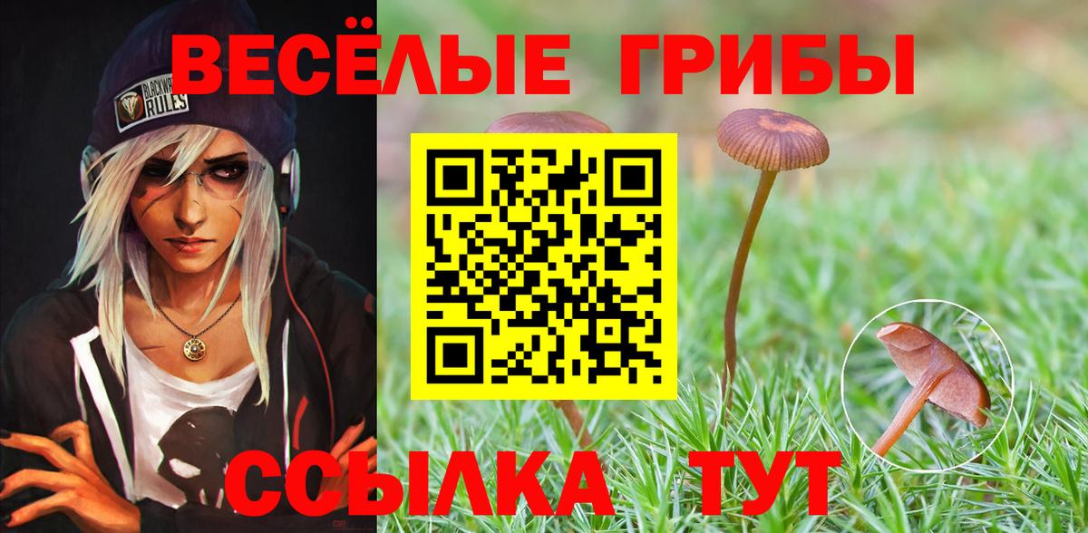 магазин продажи   Галлюциногенные грибы MAGIC MUSHROOMS  Вход с VPN  Псилоцибиновые грибы Magic Shrooms  Юрга 