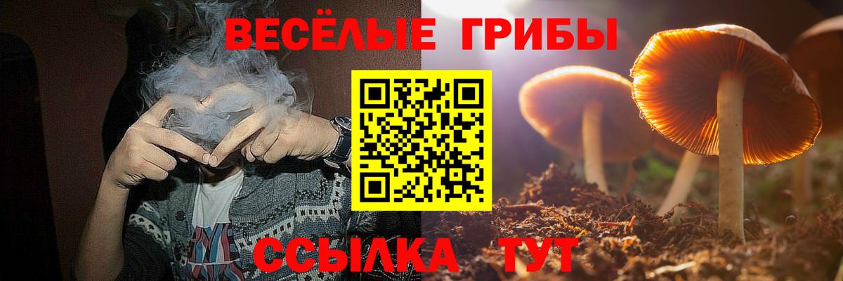 Галлюциногенные грибы Magic Shrooms Юрга