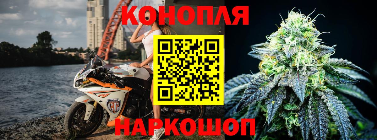 Бошки марихуана OG Kush  Марихуана план  Юрга  Вход с VPN  Марихуана тримм 